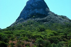 03491.P127