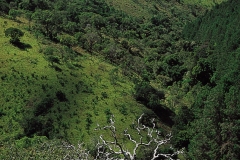 03491.P128
