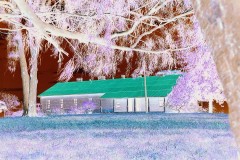 03491.P155