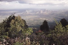 03491.P163
