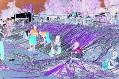 03491.P176