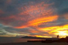 IMG-20210214-WA0012