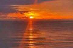 IMG-20210214-WA0017