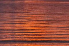 IMG-20210214-WA0018