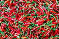 IMG-20210217-WA0015
