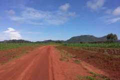 IMG-20210217-WA0053