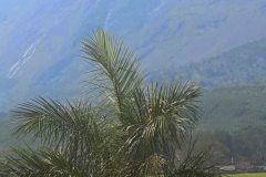 IMG-20210217-WA0057