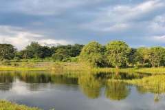 IMG-20210217-WA0060