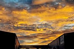 IMG-20210217-WA0062