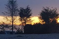 IMG-20210217-WA0064