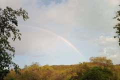IMG-20210217-WA0081