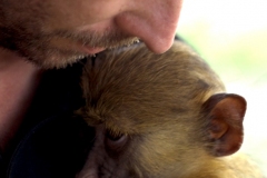 lee-and-baboon