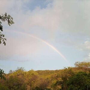 IMG-20210217-WA0081